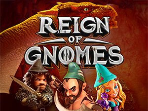 REIGN OF GNOMES