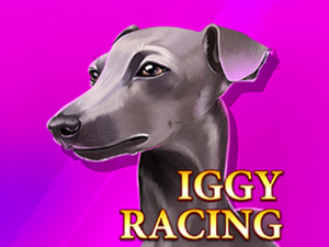 Iggy Racing - Cassino - Ritzslots