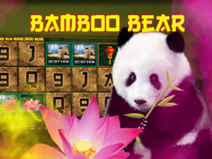 Bamboo Bear - Cassino - Ritzslots