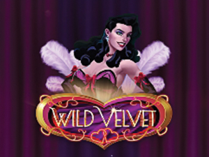 Wild Velvet - Cassino - Ritzslots