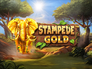 Stampede Gold? - Cassino - Ritzslots